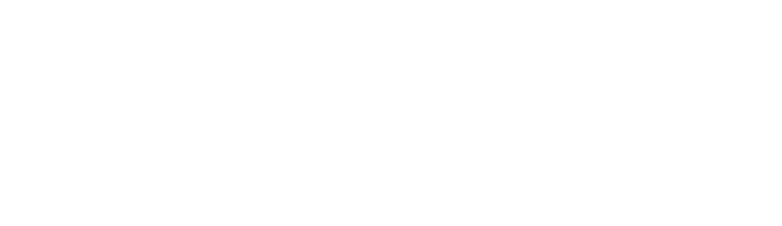 Logo Footer